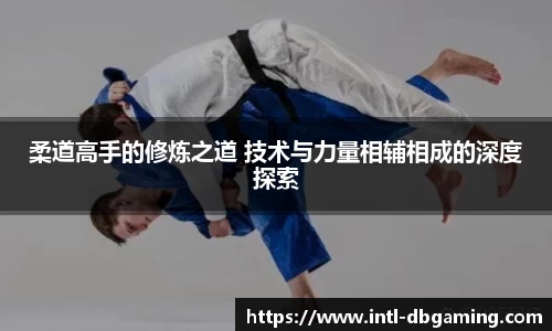 DB真人APP